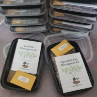 Speckled Pea Microgreen Kit - Small - Soil