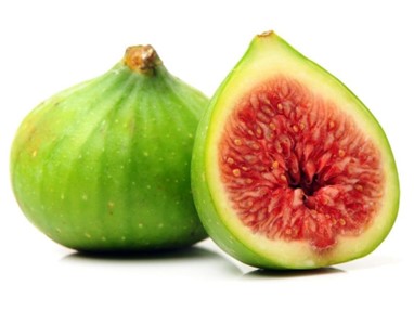 conadria fig Conadria Fig